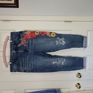 American Eagle Hi-Rise Jegging Size 20